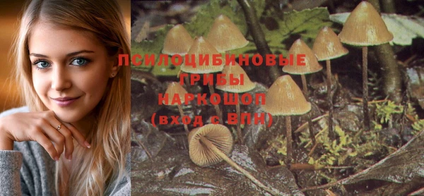 кокс Баксан