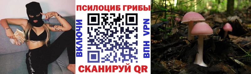 где найти наркотики  Омутнинск  Псилоцибиновые грибы мухоморы 